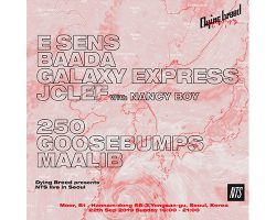 모델 한승재의 새로운 브랜드 Dying Breed의 Private Party: Dying Breed presents NTS Live In Seoul