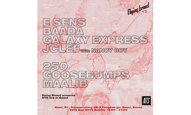 모델 한승재의 새로운 브랜드 Dying Breed의 Private Party: Dying Breed presents NTS Live In Seoul