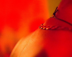 NO PHOTOS ON THE DANCE FLOOR! 전시,  베를린 클럽 역사를 조명하다