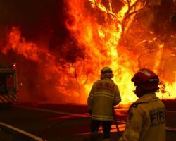 NINA LAS VEGAS, MALL GRAB, LOGIC1000 외 다수, 호주 산불 구호활동 위해 신곡 발표