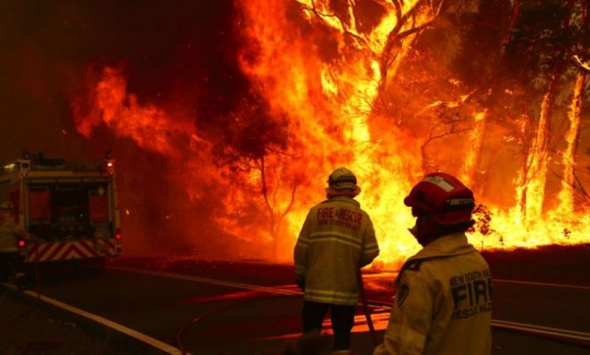 NINA LAS VEGAS, MALL GRAB, LOGIC1000 외 다수, 호주 산불 구호활동 위해 신곡 발표