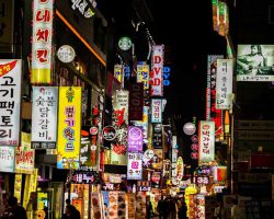 COVID-19 확진자가 증가함에 따라 서울의 클럽들이 다시 문을 닫았다.