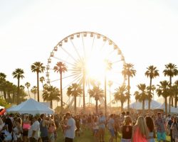 COACHELLA 2020, 공식적으로 취소 확정